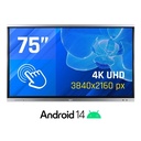 iggual Pantalla interactiva 4K ORCHID 75"