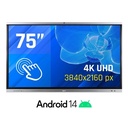 iggual Pantalla interactiva 4K ORCHID 75" Webcam
