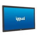 iggual Pantalla señalización digital 23,8" Android