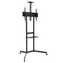 Tooq Soporte Suelo Ruedas "NEFERTITI" 37-70"