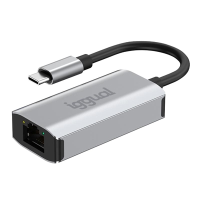 [NADACA0203] iggual Adaptador tipo C a RJ45 Gigabit 1000Mbps