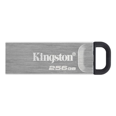 [FAELAP0749] Kingston DataTraveler DTKN 512GB USB 3.2 Gen1 Plat