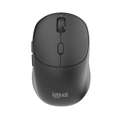 [FTRRIN0563] iggual Ratón inalámbrico NANO-OFFICE-6D 1600DPI